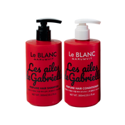 Les Ailes de Gabriella Hair Care Bundle