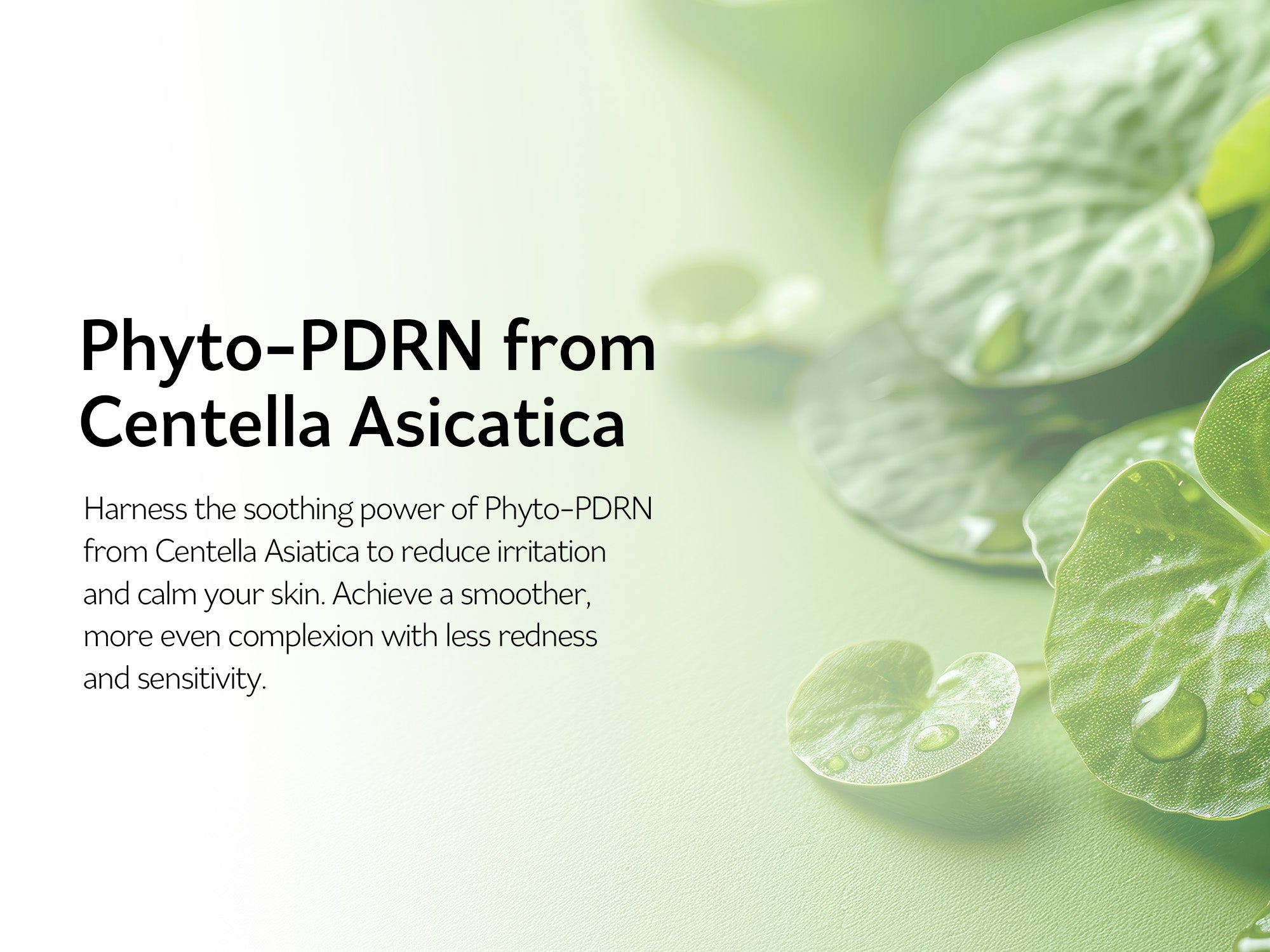 PESTLO Rejurecipe MTS Roller Serum 100g