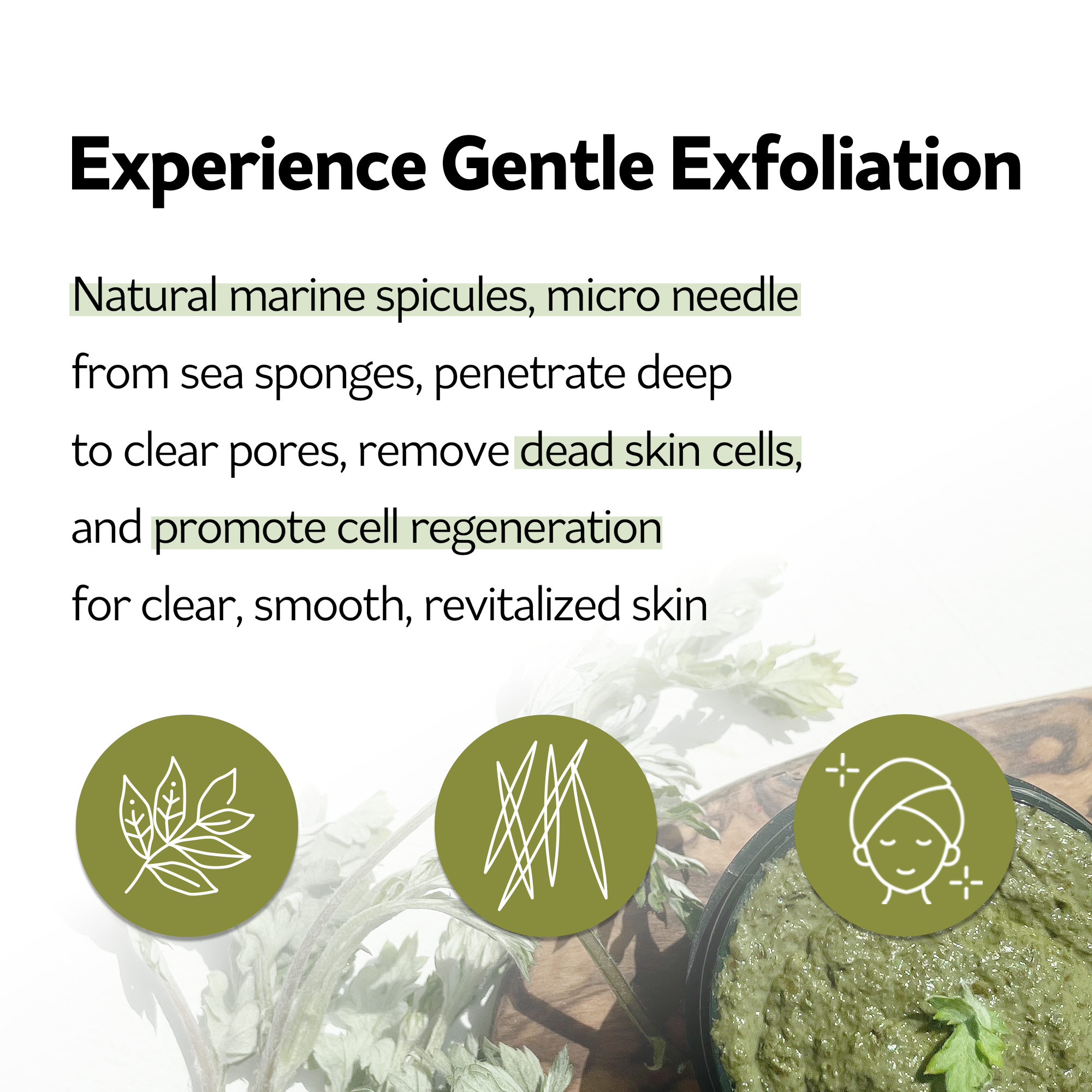 PESTLO Spicule ReBorn Peeling Mask 120g
