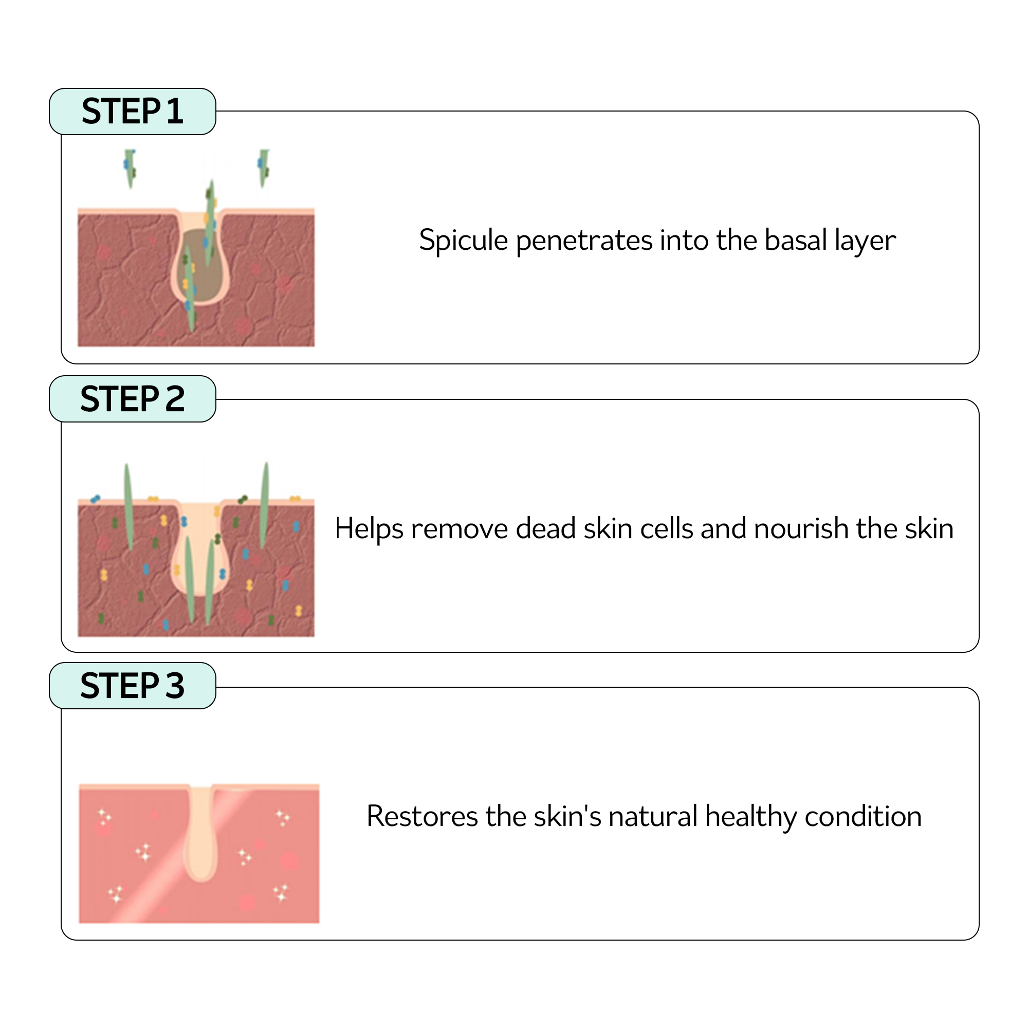 PESTLO Rejurecipe MTS Roller Serum 100g